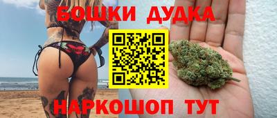 стафф Обь