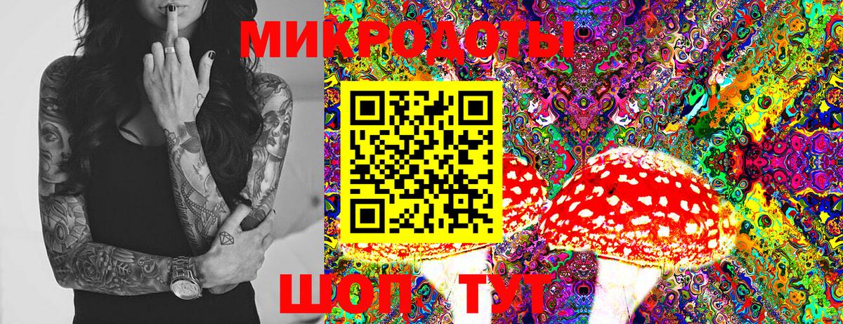 Галлюциногенные грибы Psilocybine cubensis  Вход с VPN  Галлюциногенные грибы Psilocybine cubensis  Томск 